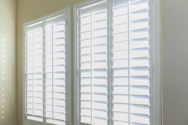 Shutter Louver Repair in Denver County, CO