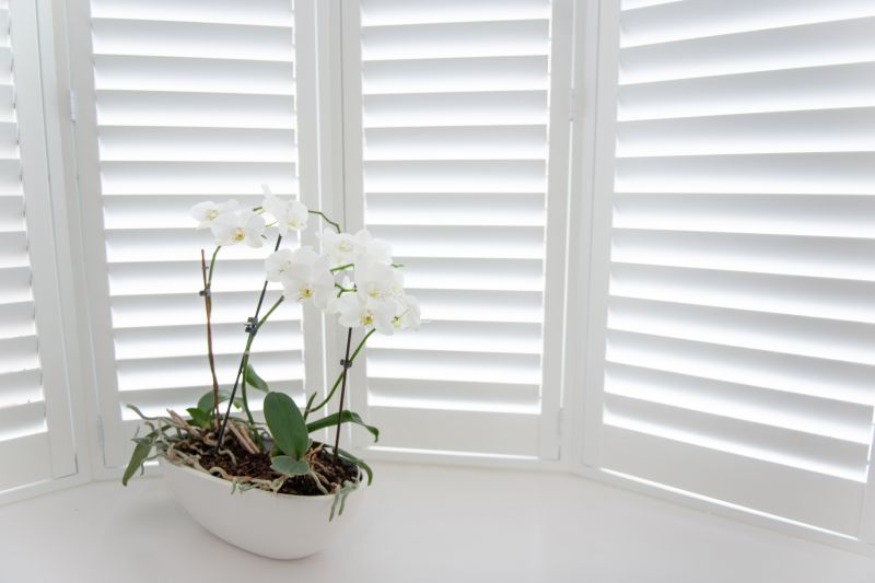 Wood Shutters Installation in Alpharetta, GA